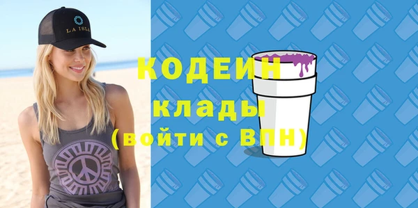 спиды Лагань