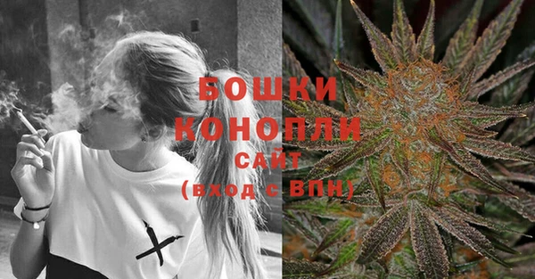 гидра Кукмор