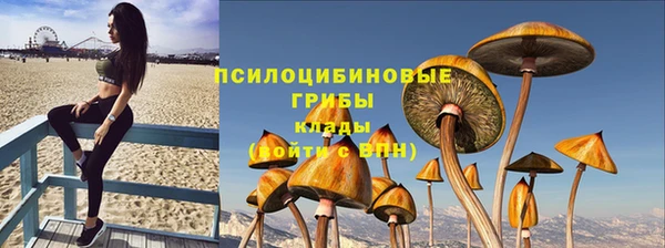 спиды Лагань