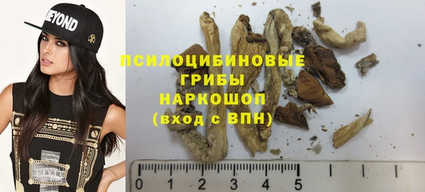 гидра Лабытнанги