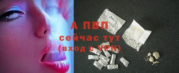 спиды Лагань